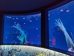 -沈阳海洋探索中心