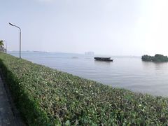 -海鸥岛