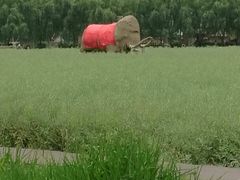 -长兴太湖图影湿地文化园