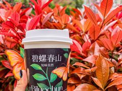 -百分茶(九洲新世界店)