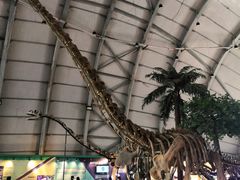 -辽宁古生物博物馆