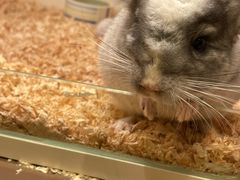 -龙猫仔乐园(惠福东路店)