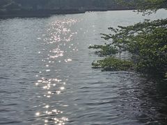 -海珠湖公园