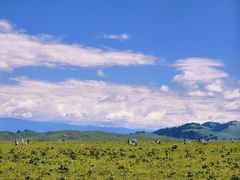 -新疆那拉提国家旅游度假区