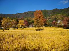 -塔川景区