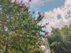 -新虹桥中心花园