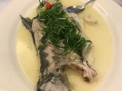 古法盐水蒸北江大禾顺鱼-山泉公馆酒家(珠江新城店)