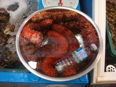 -西归浦每天偶来市场