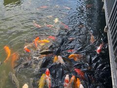 -虎英水上乐园
