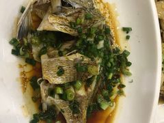 野生铜盘鱼-金海湾海鲜排档(朱家尖店)