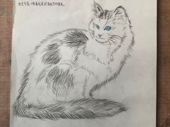 -BRAVO 赞·美艺术中心·系统美术·书法·艺考(双井校区)