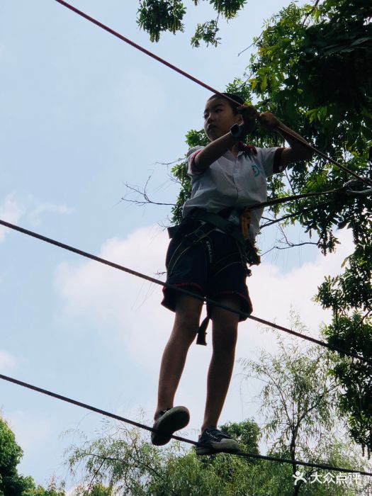 成都飛越叢林探險樂園(三道堰園區)圖片 - 第34張