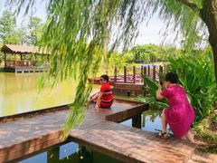 -上海长兴岛郊野公园