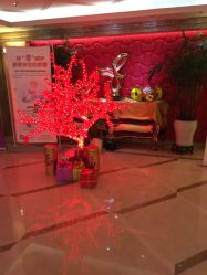 -馨月汇·独栋月子会所(静安店)