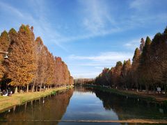 -捞渔河湿地公园