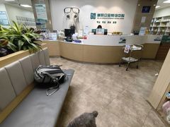 -美联众合动物医院·24h转诊中心