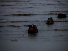 -碧海金沙