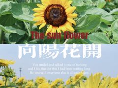 -映月湖中央公园