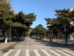 -东北大学(南湖校区)