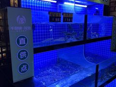 -千岛湖小鱼儿·淳安匠心农家菜