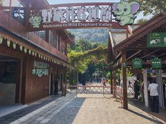 -野象谷景区