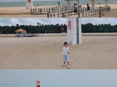 -东郊椰林