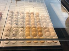 -BLACKSWAN黑天鹅(环球店)