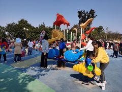 -铁山坪森林公园