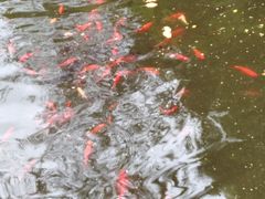 -复旦大学附属华山医院(总院)