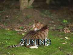 -苏州河梦清园环保主题公园