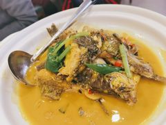-饭怕鱼(阳光100店)