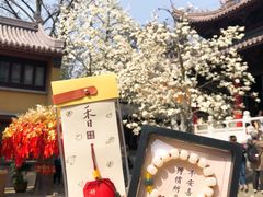 -灵谷景区