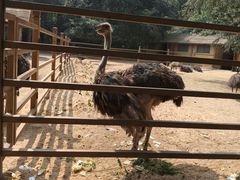 -秦皇岛野生动物园