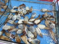 外高桥进口商品直销中心(自贸区店)-外高桥超市