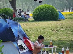 -天津武清北运河郊野公园房车露营地