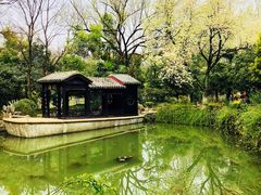 景点-浮庄