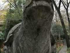 -灵谷景区