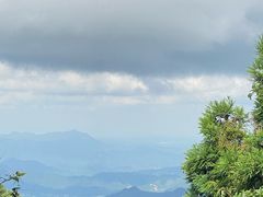 -江西阳明山国家森林公园