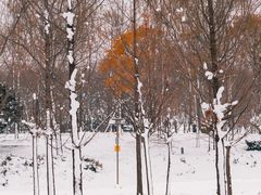 -北龙湖湿地公园