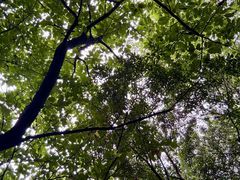 -井之头恩赐公园