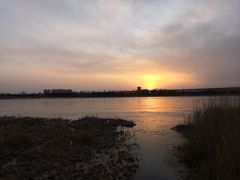 -绿堤公园