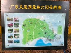 -天鹿湖森林公园
