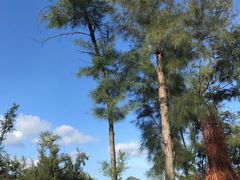 -西涌国际滨海旅游区