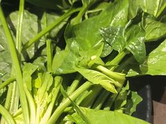 -一绪に和牛寿喜烧(罗湖益田假日店)