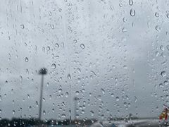 -正飞鲜奶(南湖一期店)