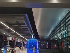 -温州龙湾国际机场