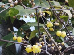 -清心素食自助餐厅(夫子庙店)