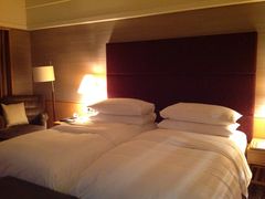 -新加坡文华东方酒店