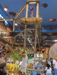 -卡通尼·Safari非洲探索乐园·生日会(金桥国际商业广场店)