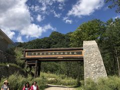 -牛背梁国家森林公园